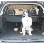 Volvo8-1.png Hundegitter passend für Volvo XC90 ab 2/2015