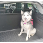 Hundegitter passend für Opel Crossland X ab 2017