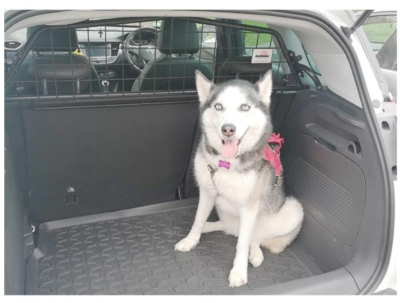 Hundegitter passend für Opel Crossland X ab 2017